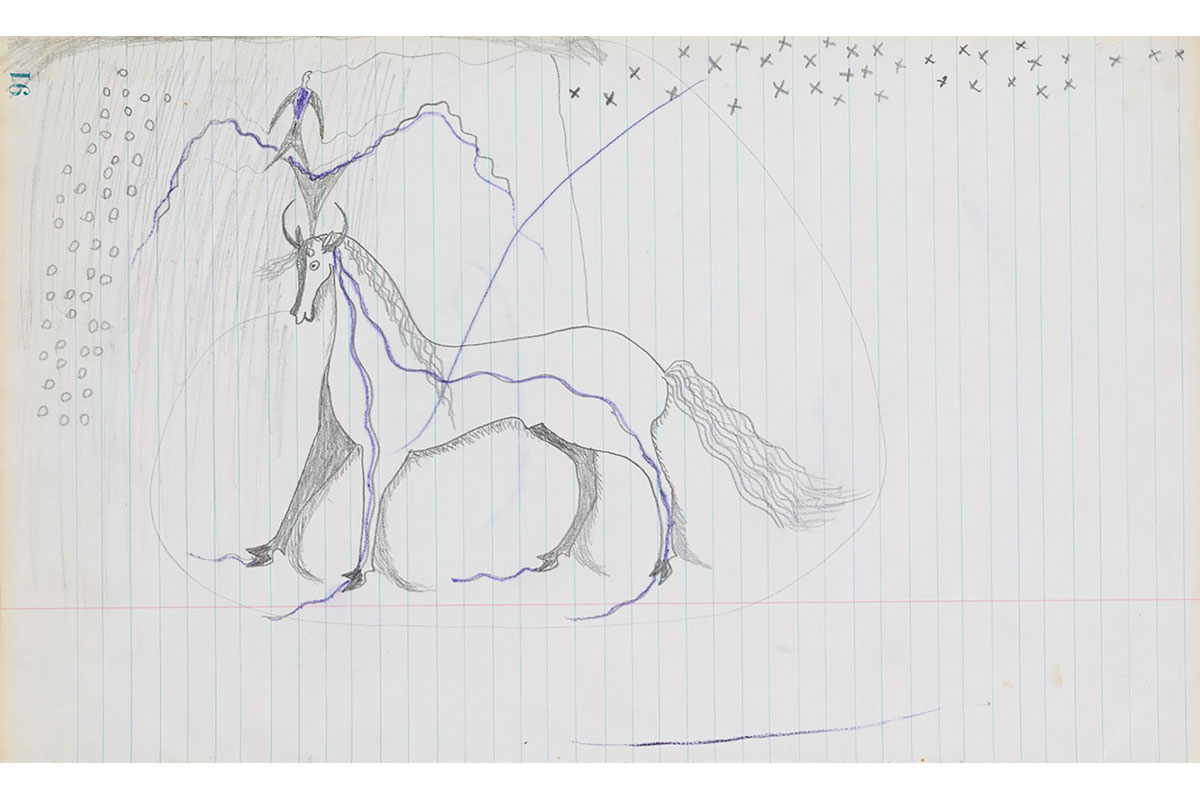 Visionary Drawing P4189c