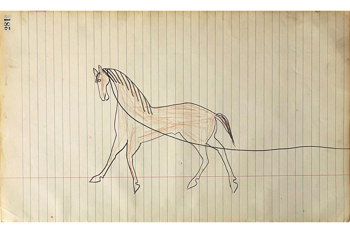 Ledger Drawing P4462-281