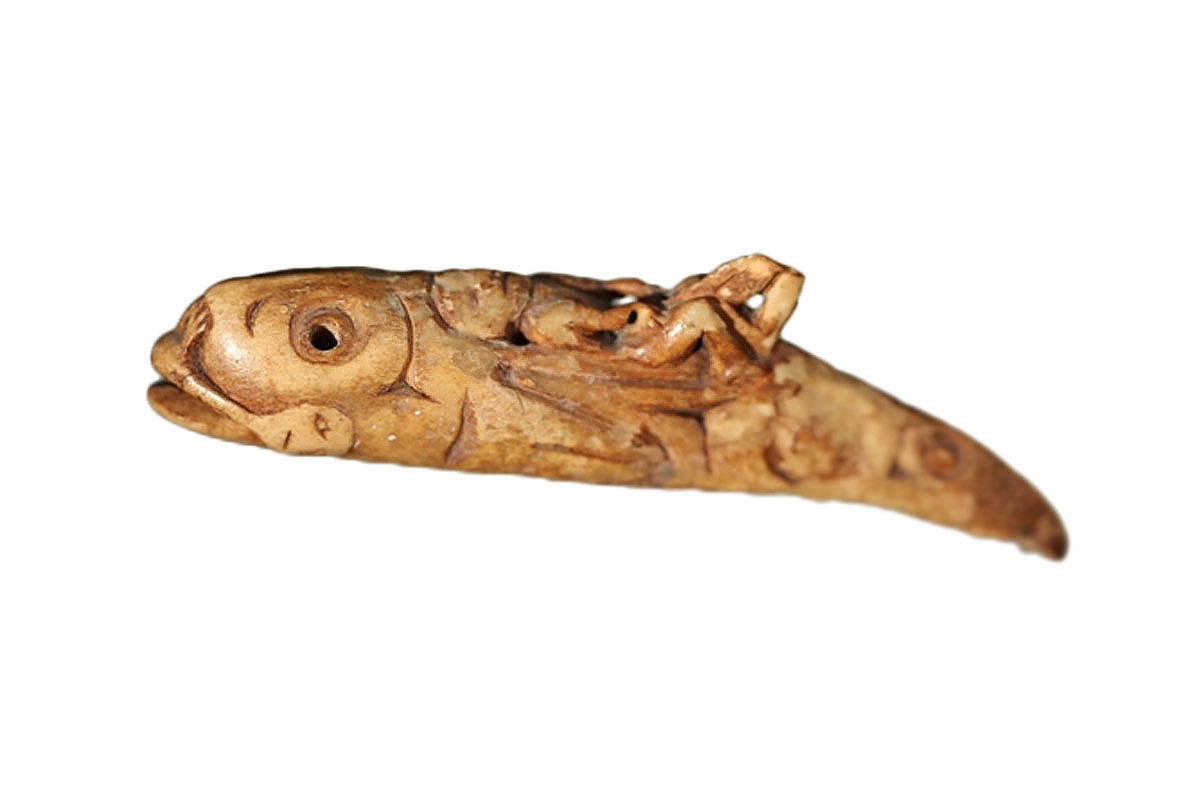 Amulet CN3895i