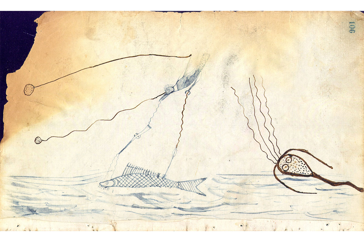 Visionary Drawing P4138-106/105
